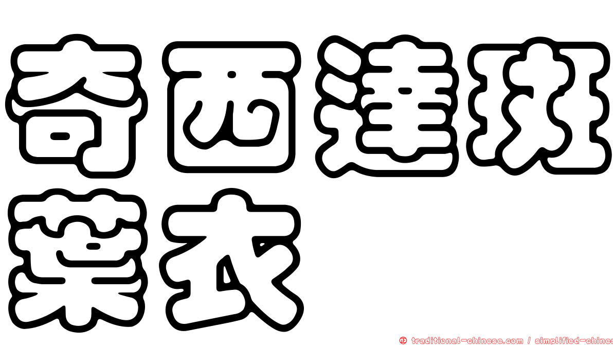 奇西達斑葉衣