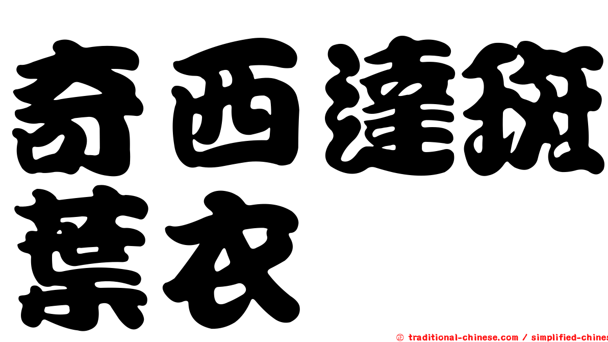 奇西達斑葉衣