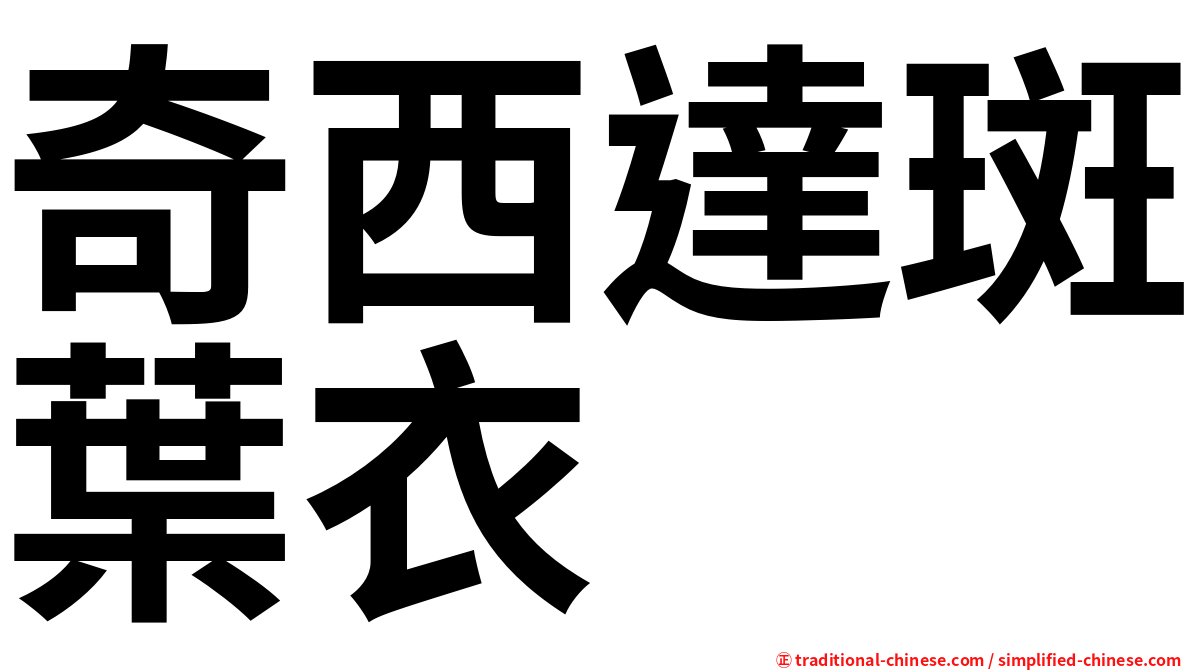 奇西達斑葉衣
