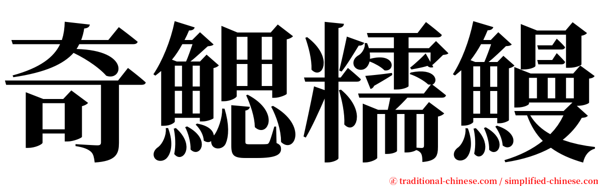 奇鰓糯鰻 serif font