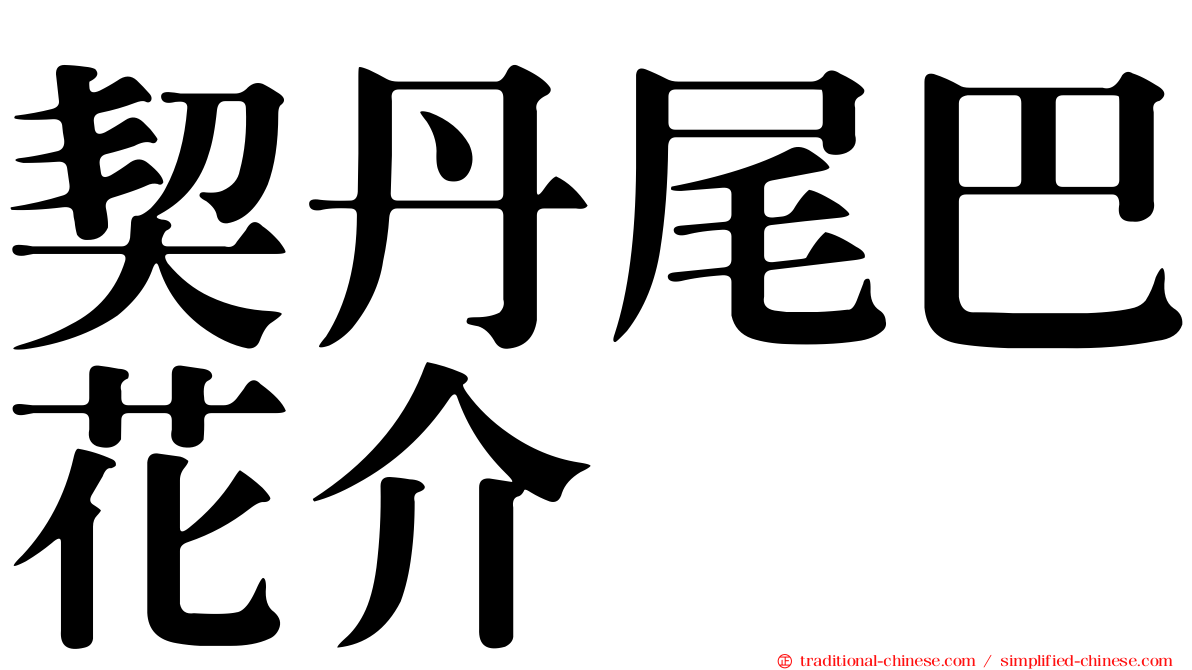 契丹尾巴花介