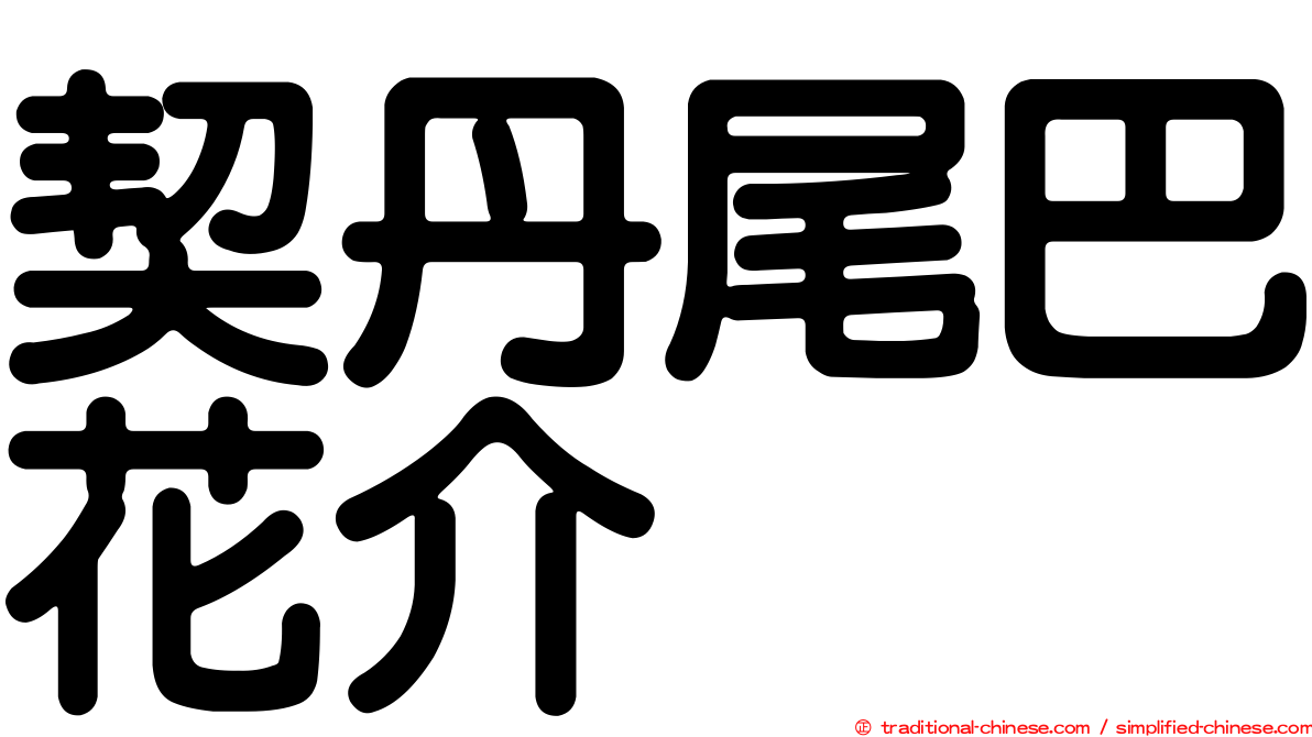 契丹尾巴花介
