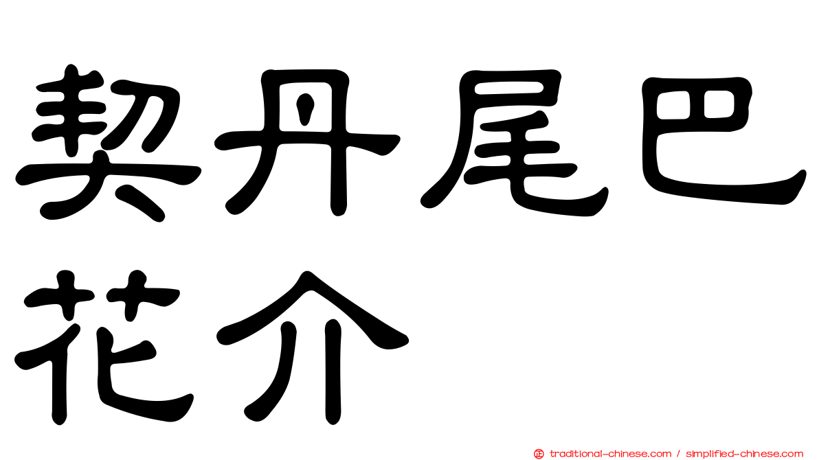 契丹尾巴花介