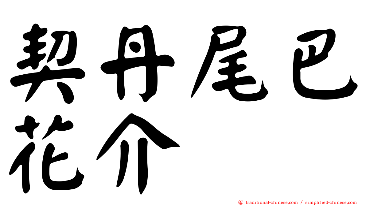 契丹尾巴花介