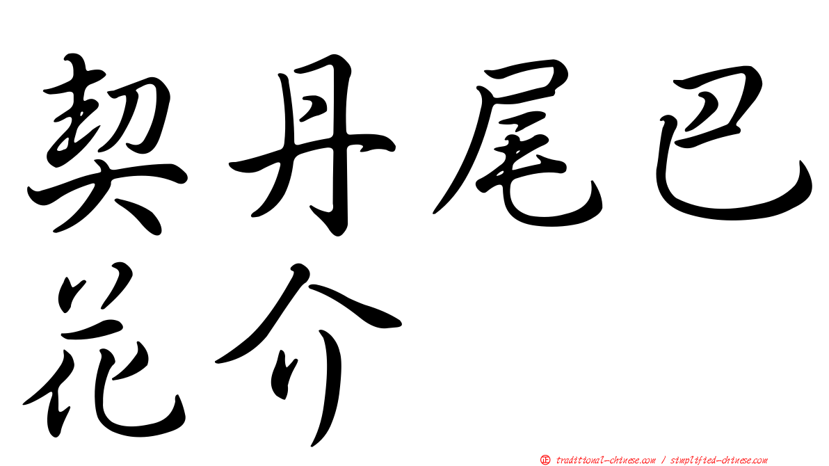 契丹尾巴花介