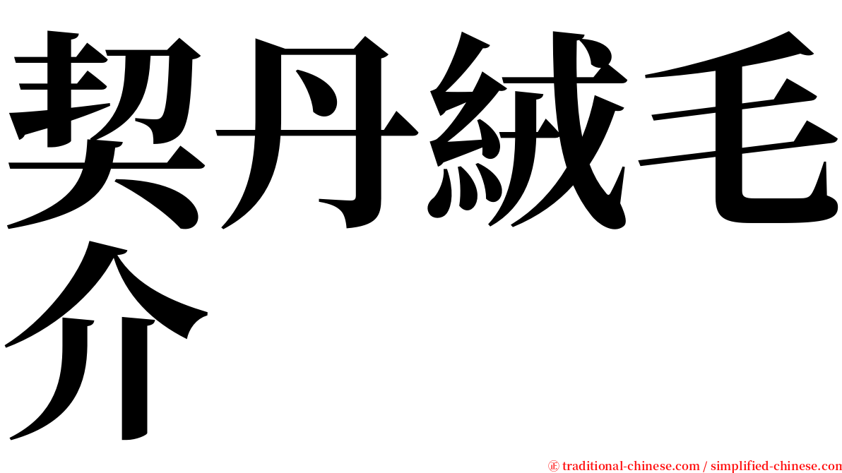 契丹絨毛介 serif font