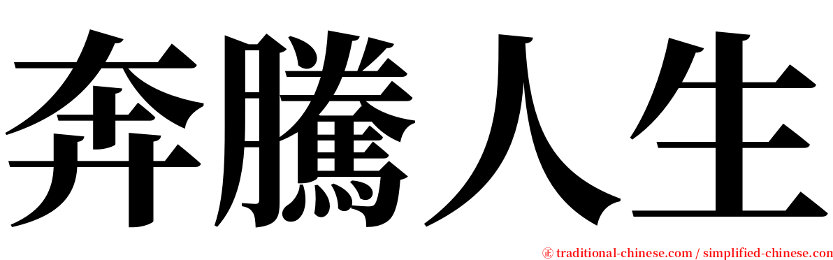 奔騰人生 serif font