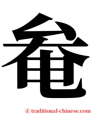 奙 serif font