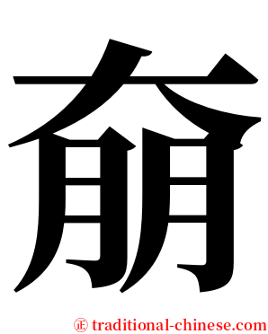 奟 serif font