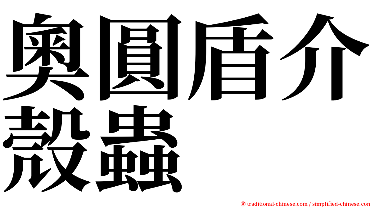 奧圓盾介殼蟲 serif font