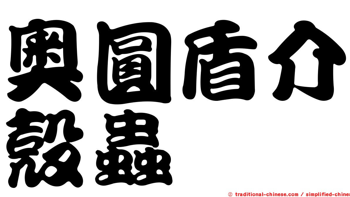 奧圓盾介殼蟲