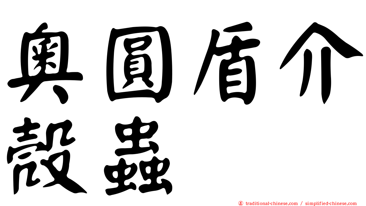 奧圓盾介殼蟲
