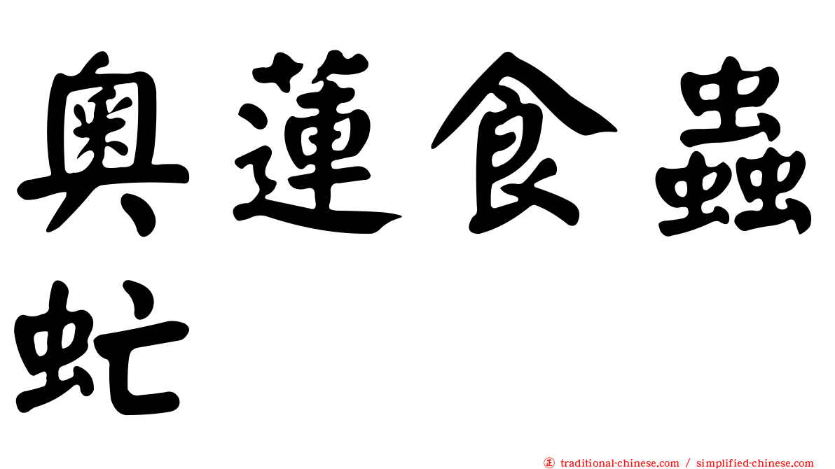 奧蓮食蟲虻