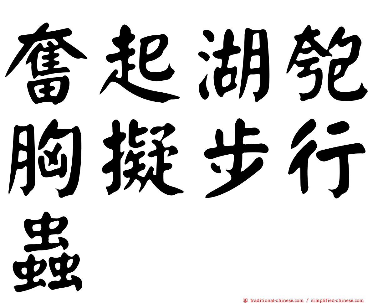 奮起湖匏胸擬步行蟲