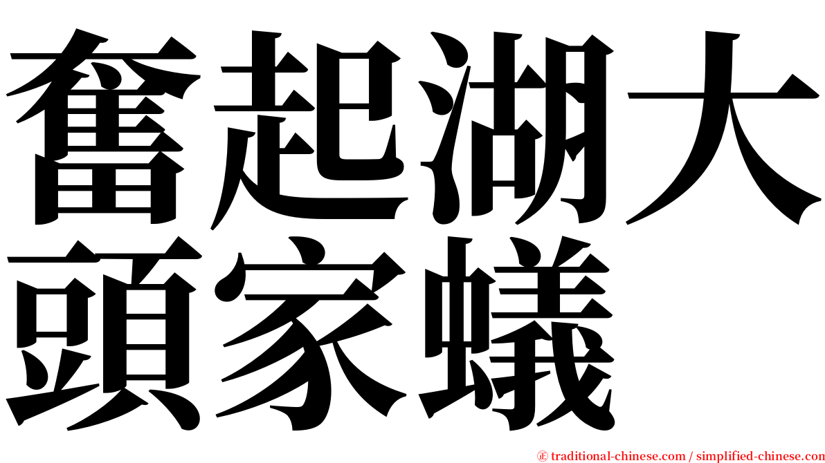 奮起湖大頭家蟻 serif font