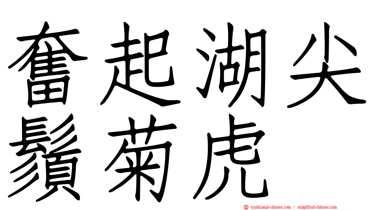 奮起湖尖鬚菊虎