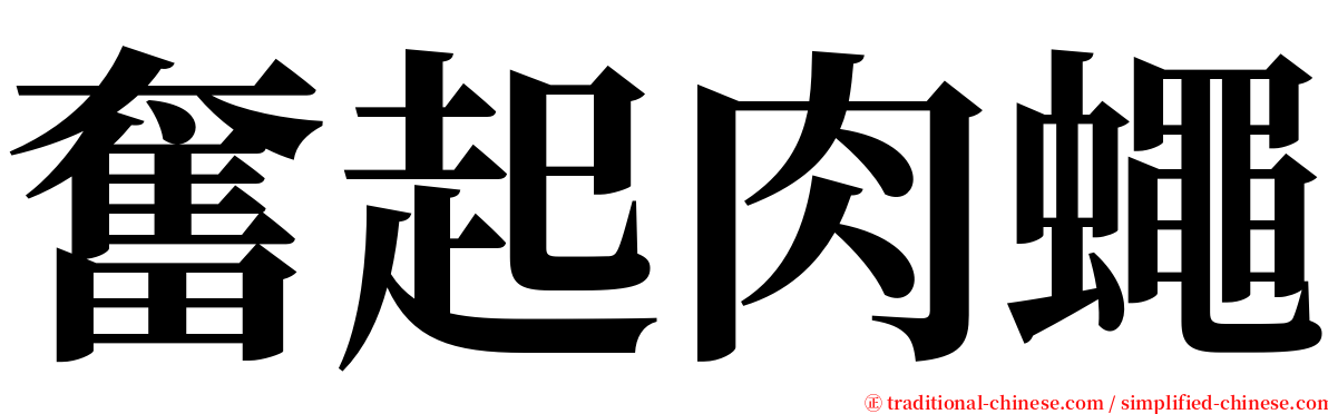 奮起肉蠅 serif font