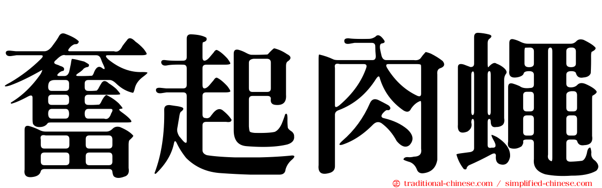 奮起肉蠅