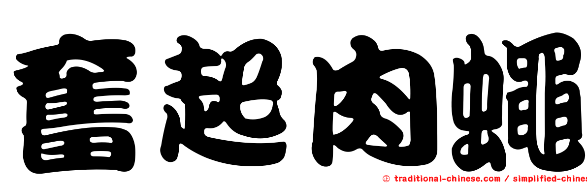 奮起肉蠅
