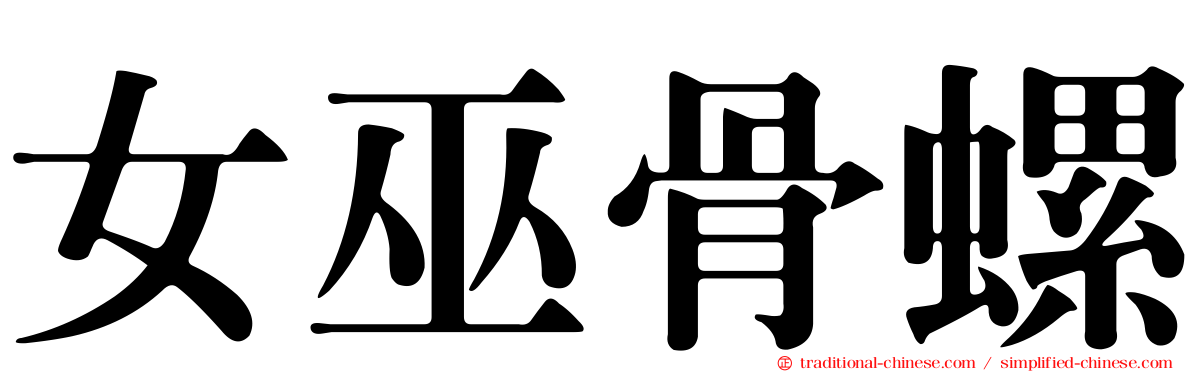 女巫骨螺