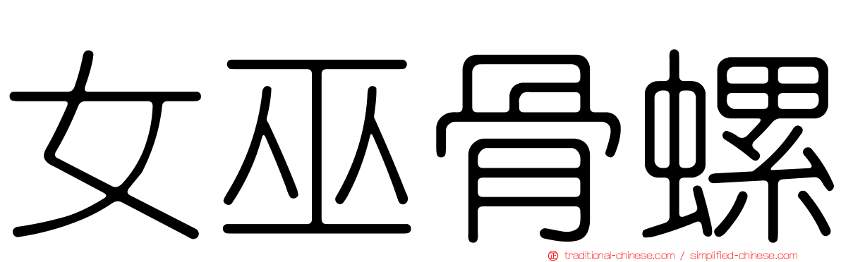 女巫骨螺