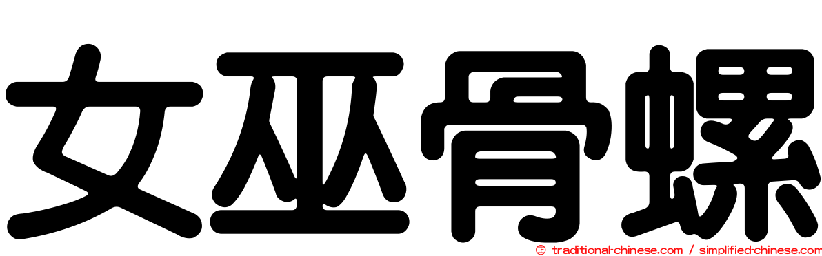 女巫骨螺