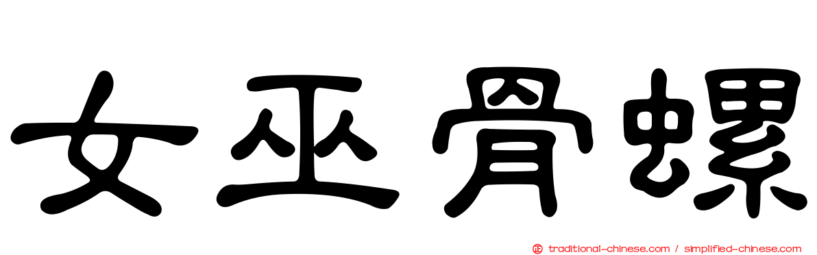 女巫骨螺