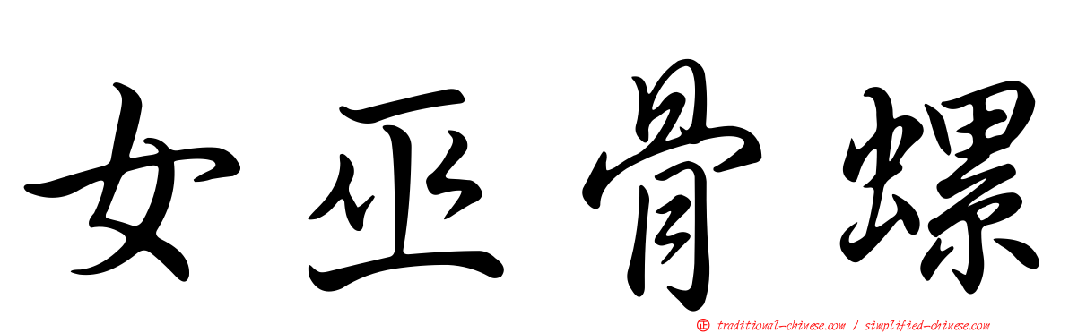 女巫骨螺