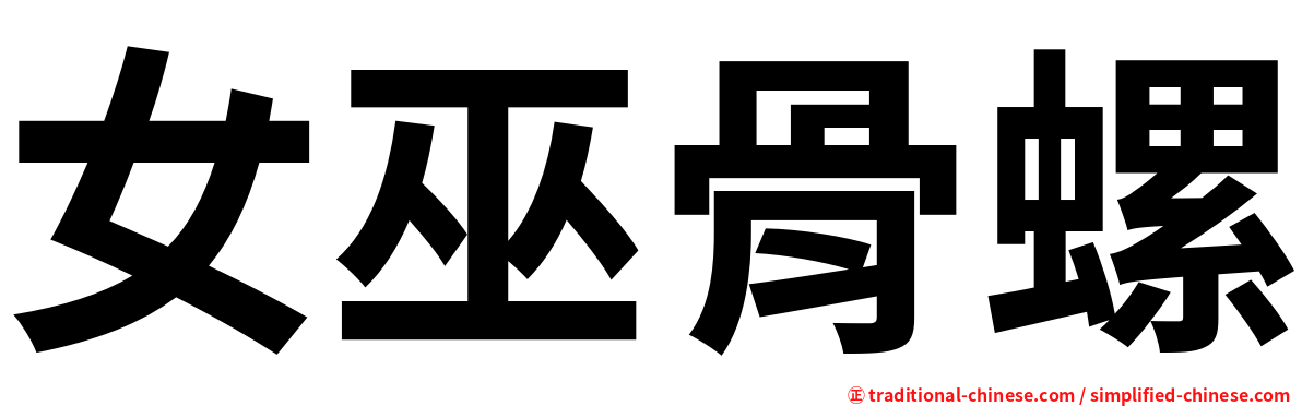 女巫骨螺