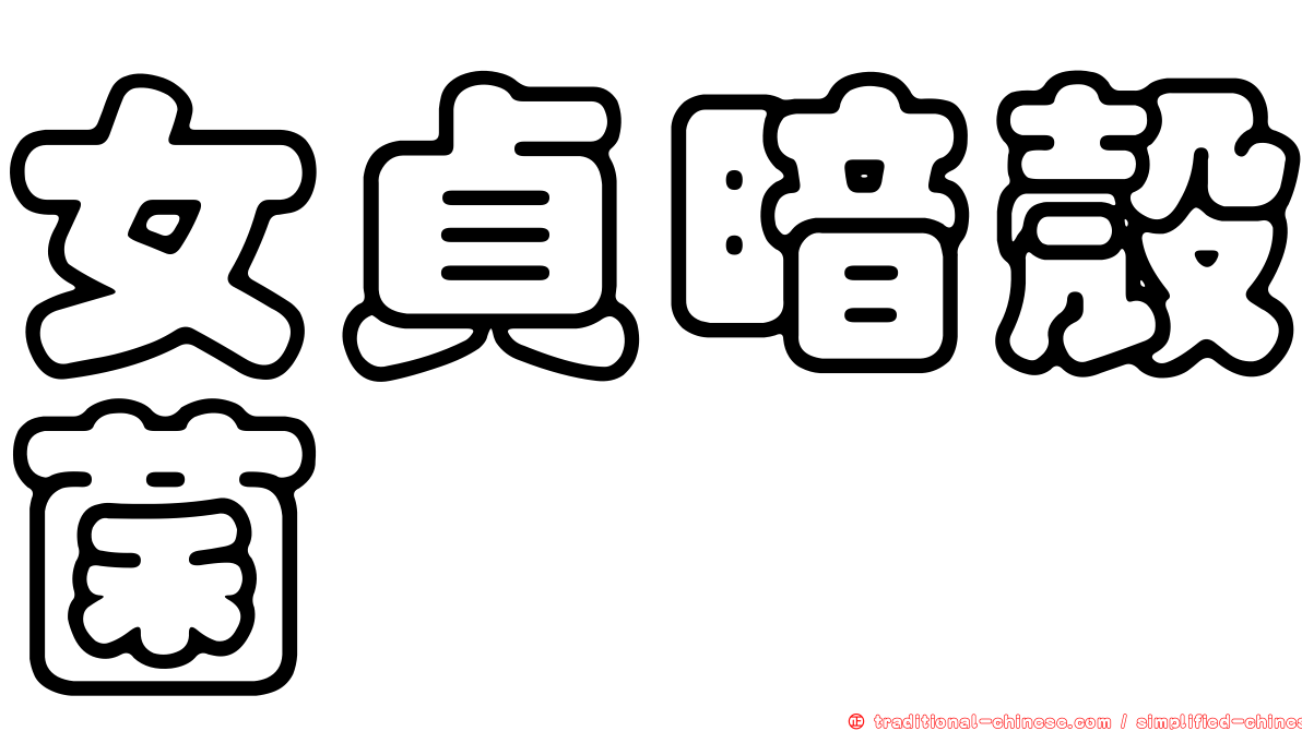 女貞暗殼菌