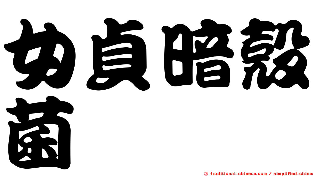 女貞暗殼菌