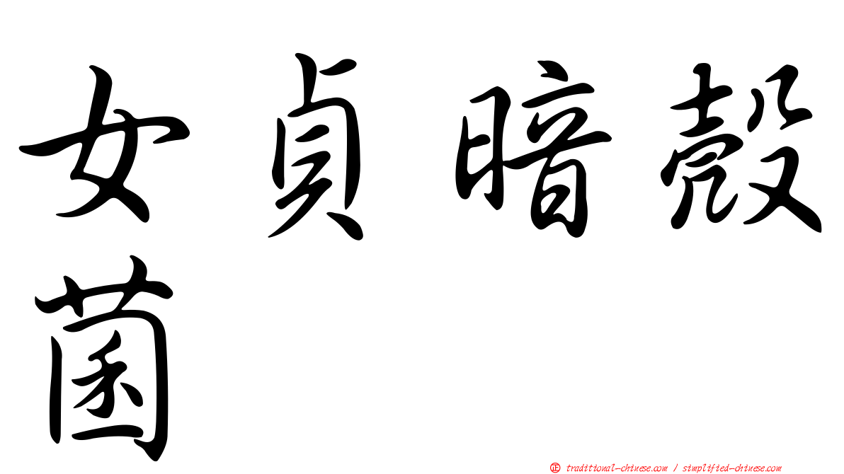 女貞暗殼菌