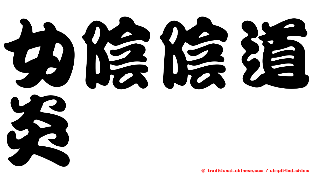 女陰陰道炎