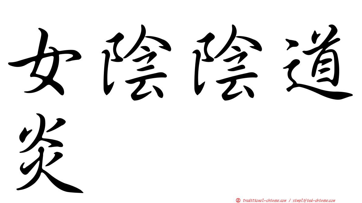 女陰陰道炎