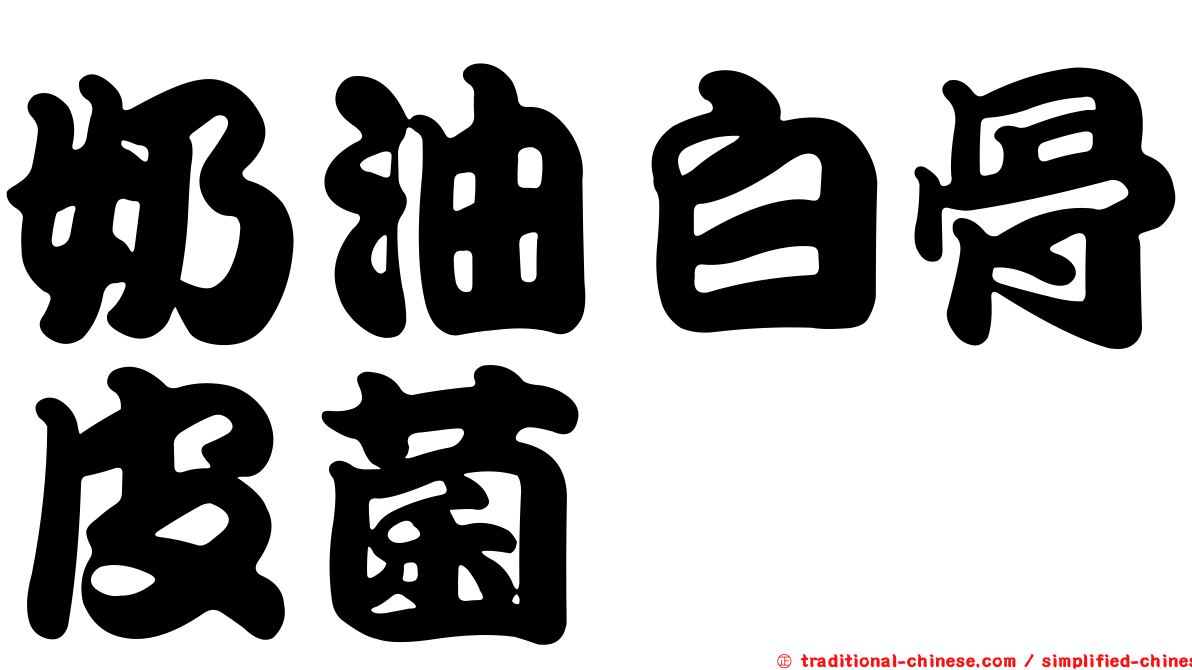 奶油白骨皮菌