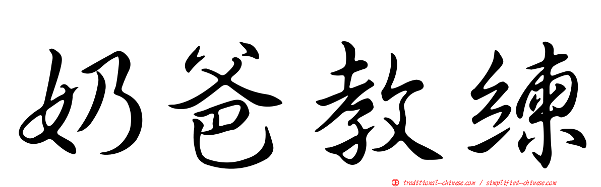 奶爸教練