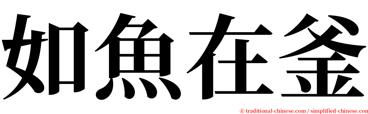 如魚在釜 serif font
