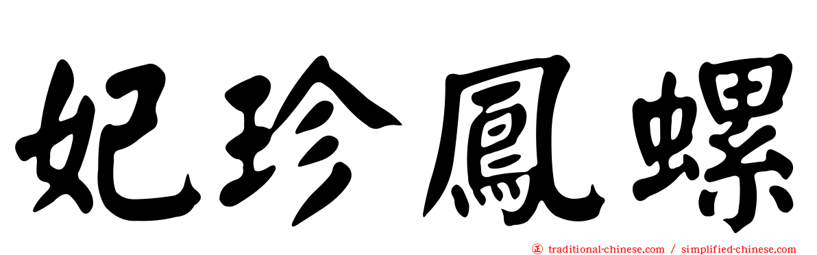 妃珍鳳螺