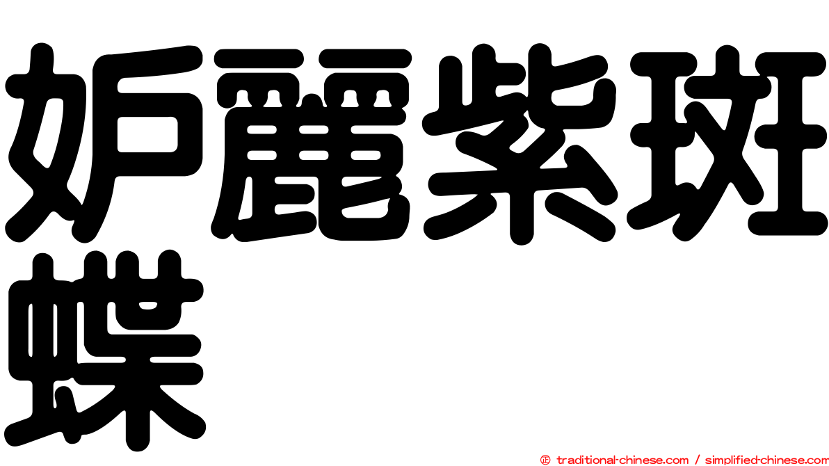 妒麗紫斑蝶
