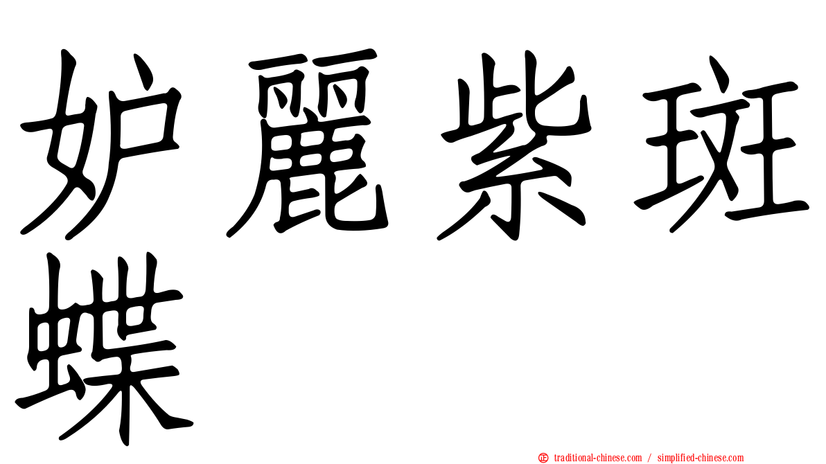 妒麗紫斑蝶
