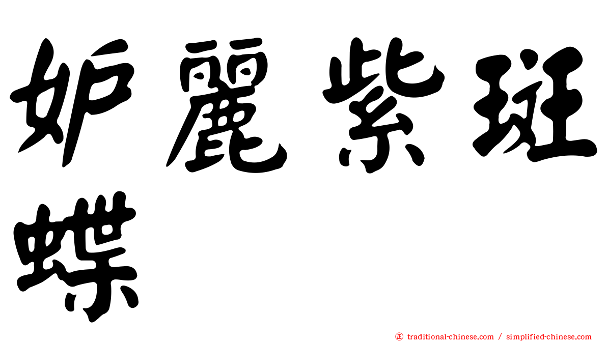 妒麗紫斑蝶