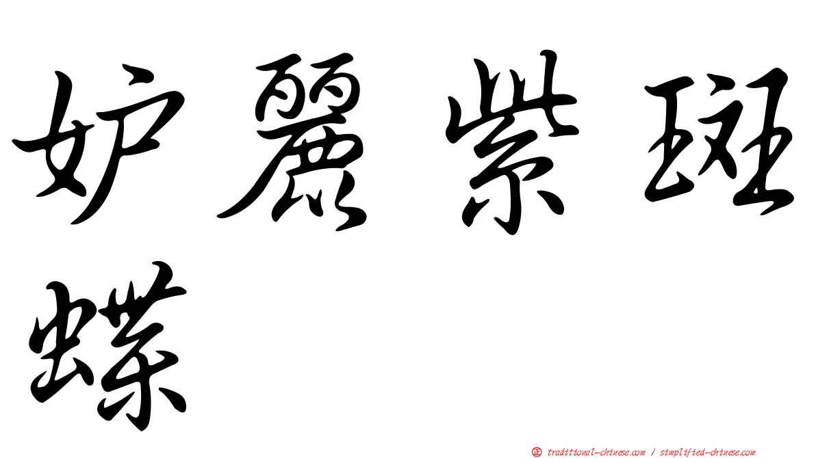 妒麗紫斑蝶