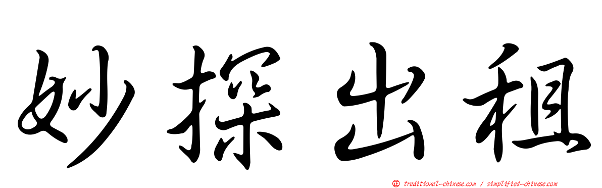 妙探出租