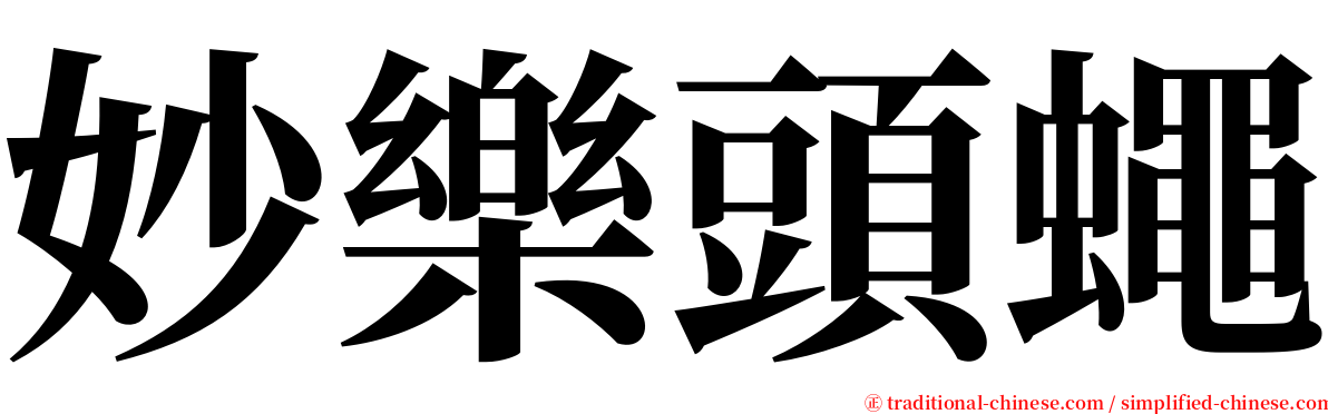 妙樂頭蠅 serif font