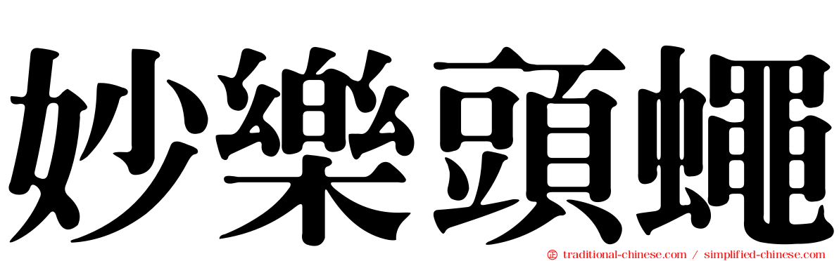 妙樂頭蠅