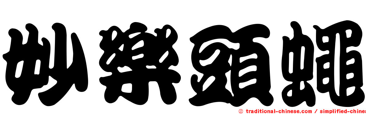 妙樂頭蠅