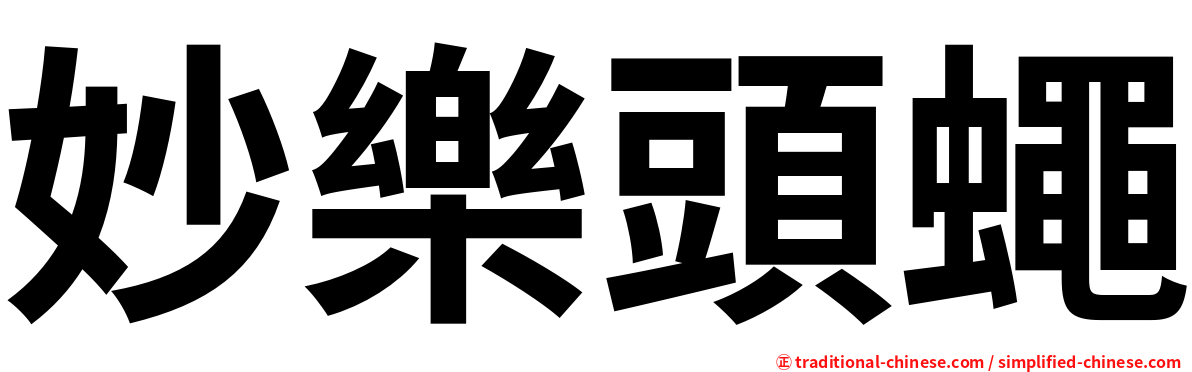妙樂頭蠅