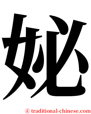 妼 serif font