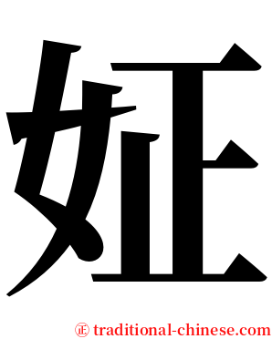 姃 serif font