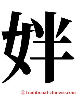 姅 serif font
